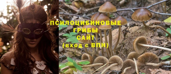 бутик Аркадак