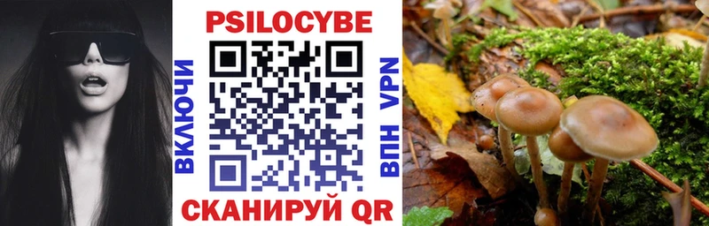 закладка  Шарья  ОМГ ОМГ ССЫЛКА  Галлюциногенные грибы Cubensis 