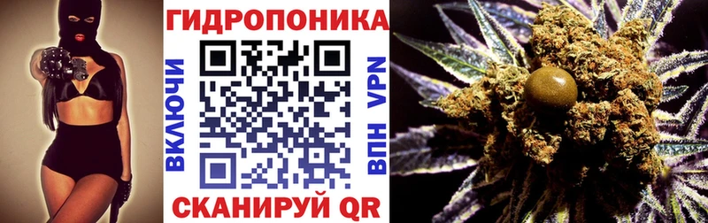 МАРИХУАНА план  сайты даркнета клад  Шарья 